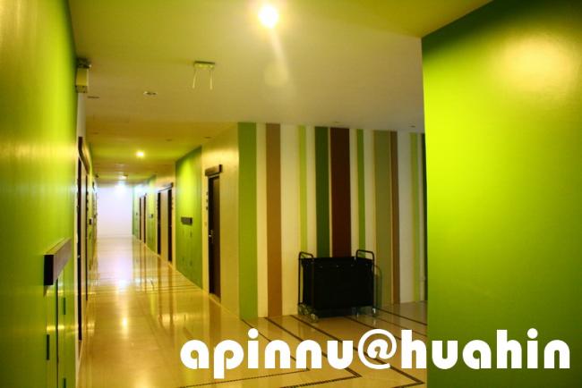 apinnu24.jpg
